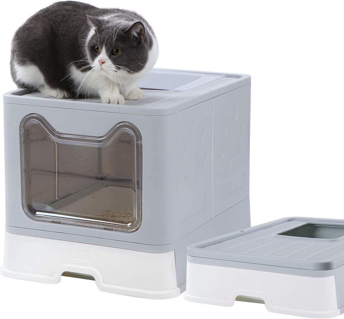 Enclosed Litter Box Large, Foldable Top Entrance Cat Litter Box with Lid, High Sided Litter Box Pack of 2 R626531