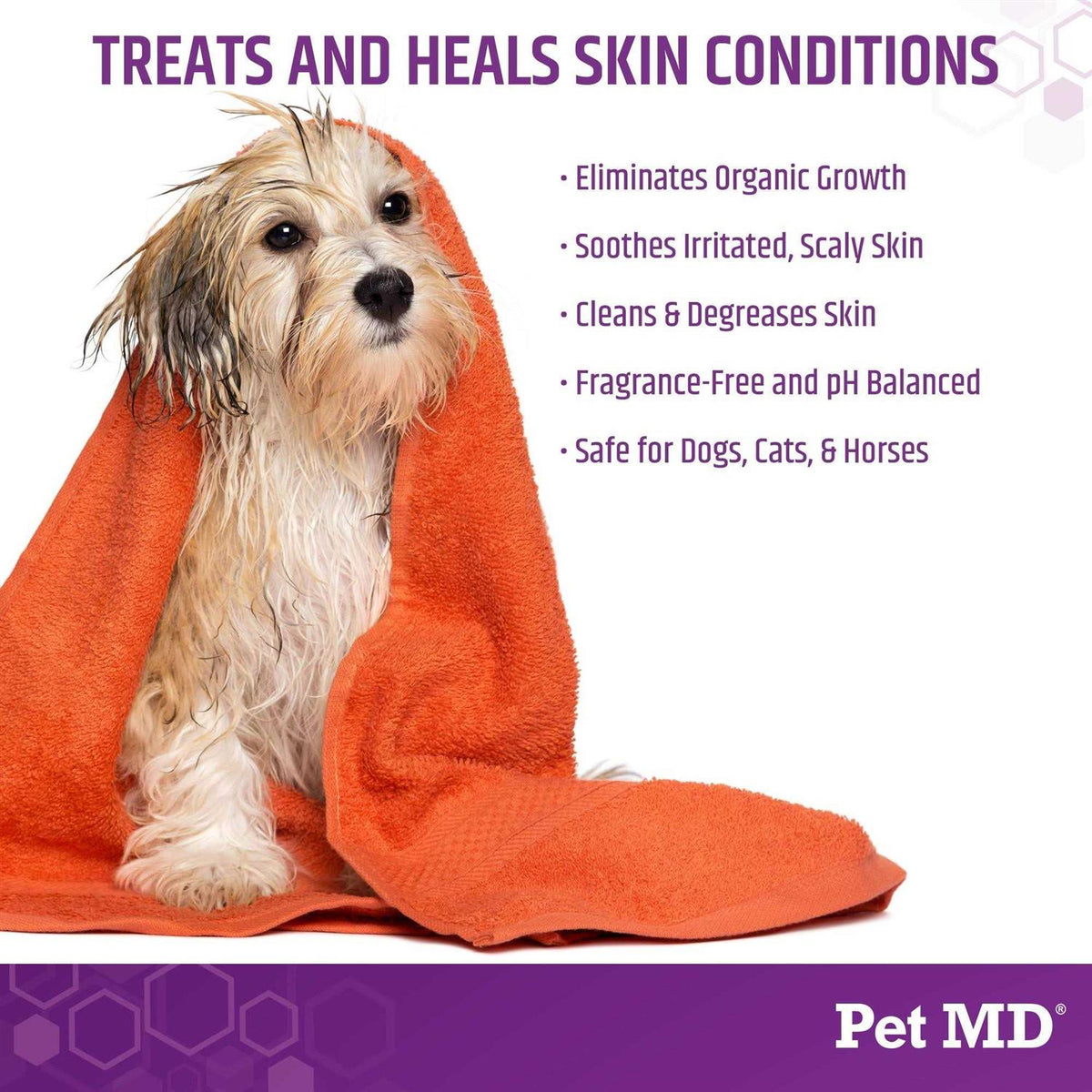 Medicated Shampoo for Dogs J13760