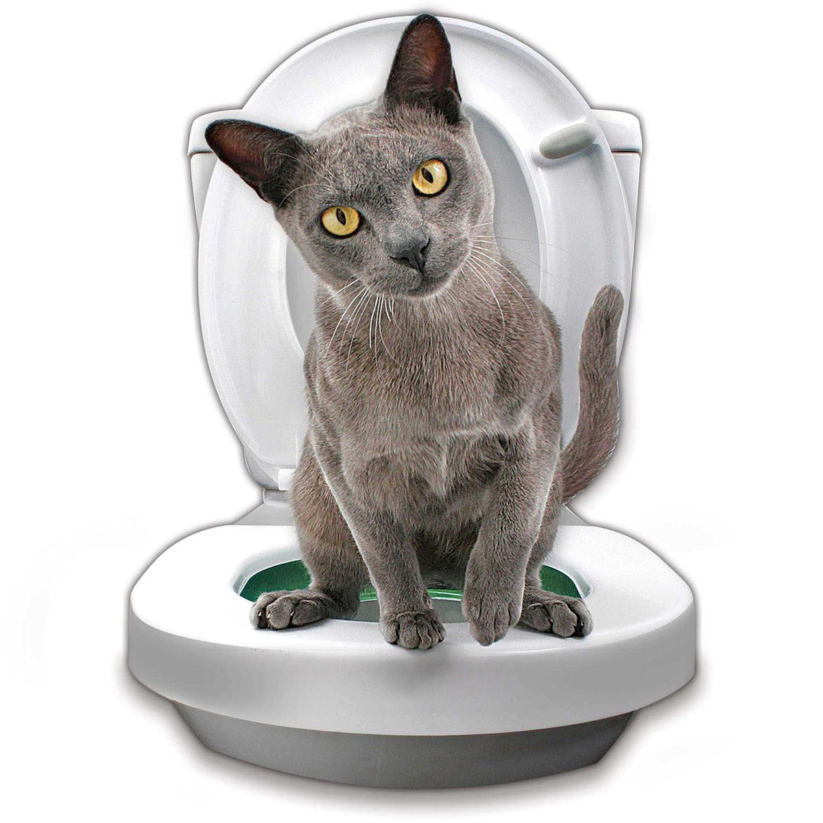 Cat Toilet Training System S182770