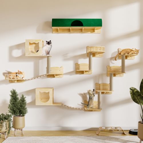 16 Pcs Pine Wooden Cat Wall Shelves with House Y3305
