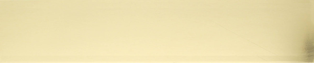 Polished Brass 6x22 x 30x22 Kick Plate Magnetic Mount J572155