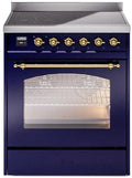 Blue Induction Range with Electric Oven X81910
