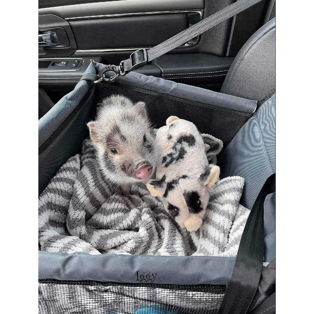 Pet Car Seat D95033
