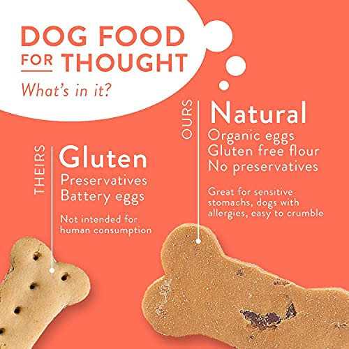 All-Natural Dog Treat Biscuits Multipack Z160
