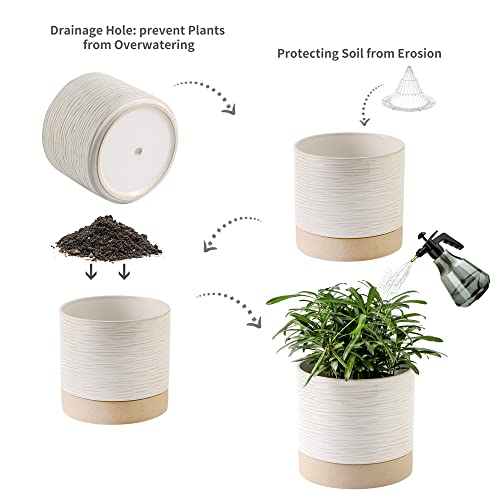 6 Inch Ceramic Self Watering Plant Pot with Drainage Hole C2335