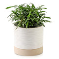 6 Inch Ceramic Self Watering Plant Pot with Drainage Hole C2335