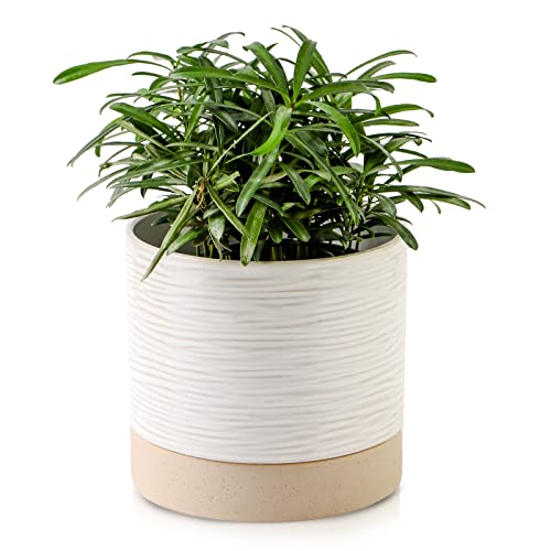 6 Inch Ceramic Self Watering Plant Pot with Drainage Hole C2335