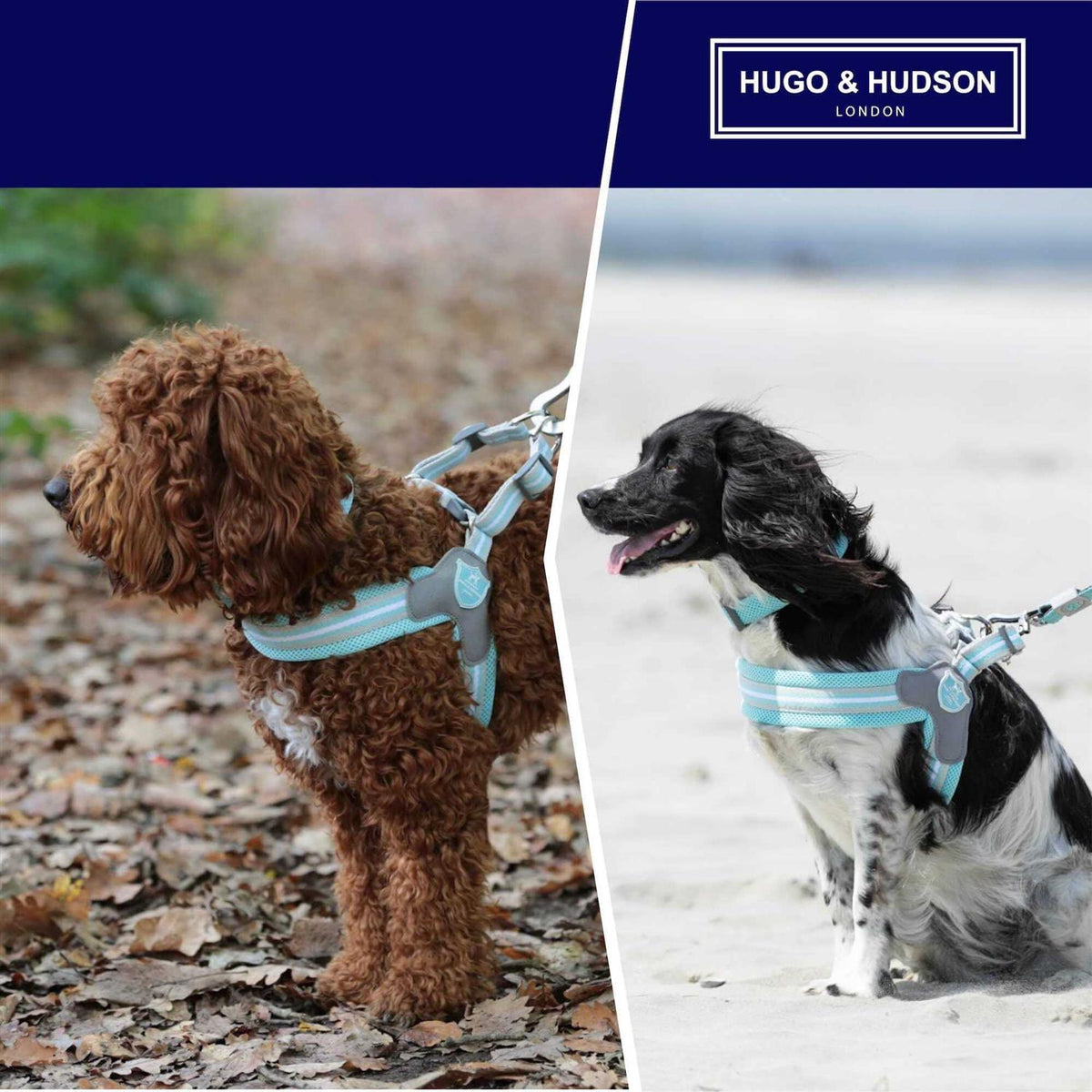 Dog Harness G72375