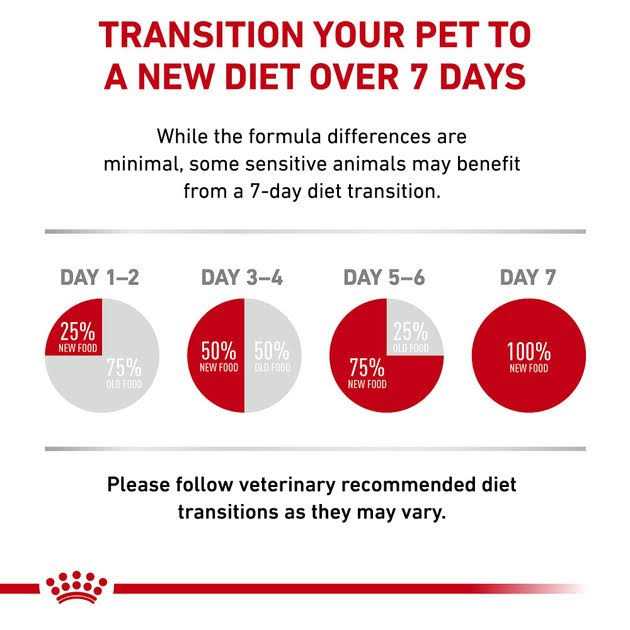 Small Dog Food F127554
