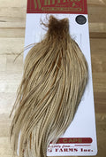 Silver Cape Medium Ginger A172999