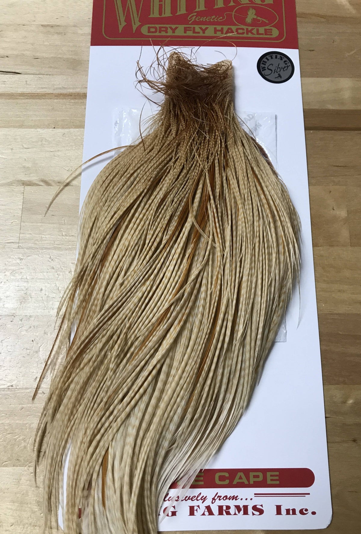Silver Cape Medium Ginger A172999