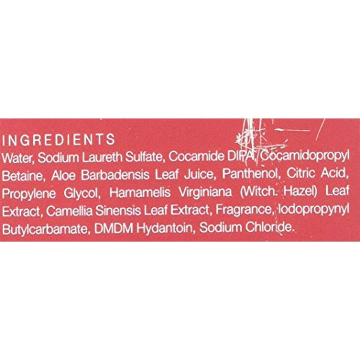 Dog Shampoo S176599