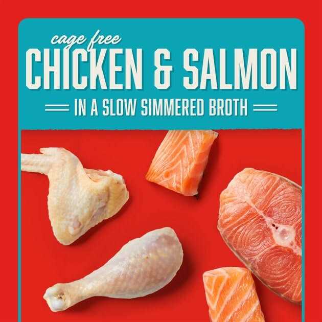 Chicken Dog Food Z5766
