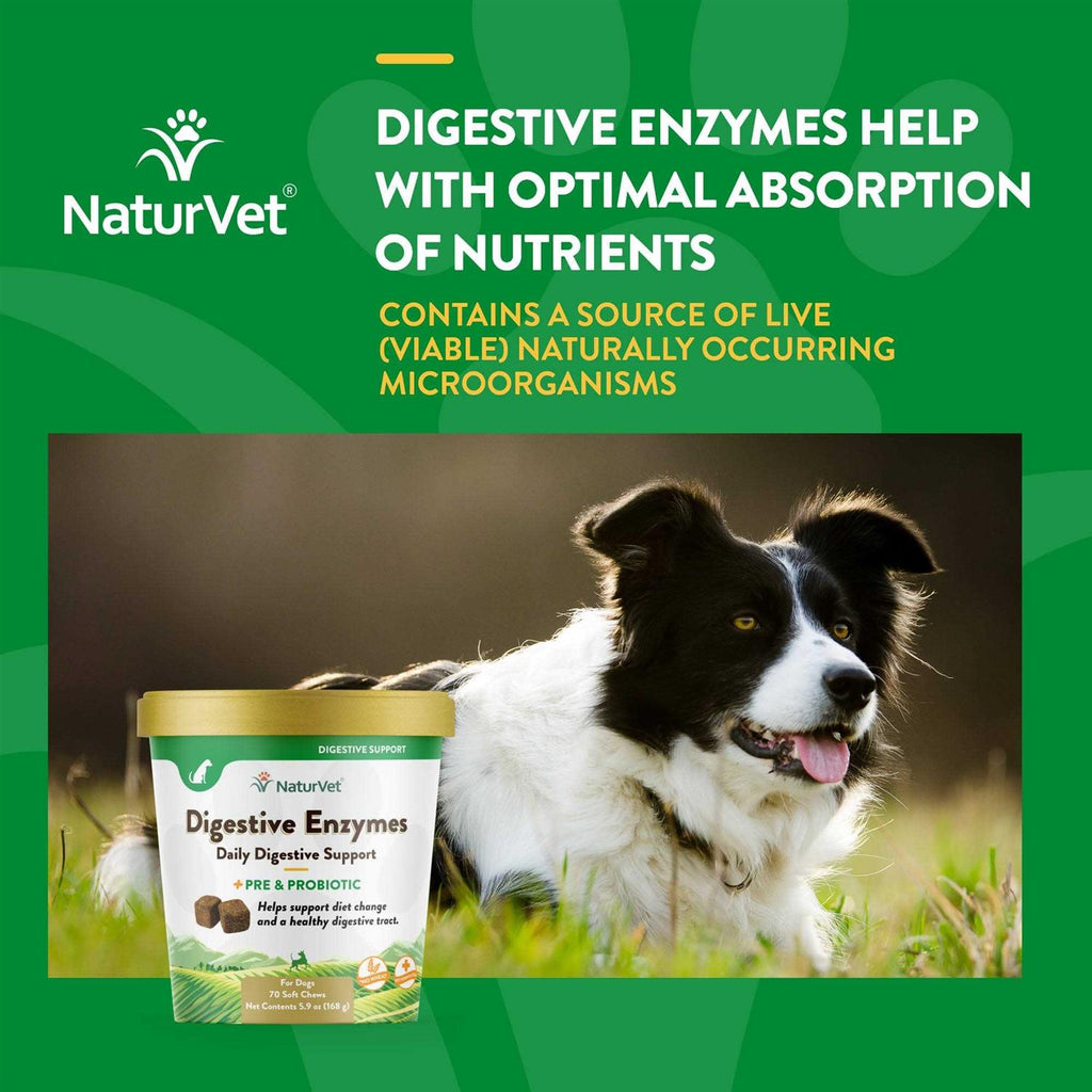 Digestive Enzymes N3843