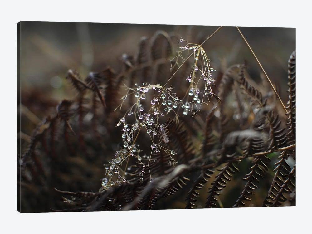 Canvas Art Print V6388