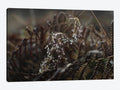 Canvas Art Print V6388