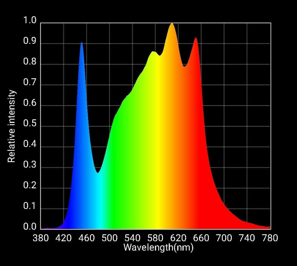LED Fixture P23700