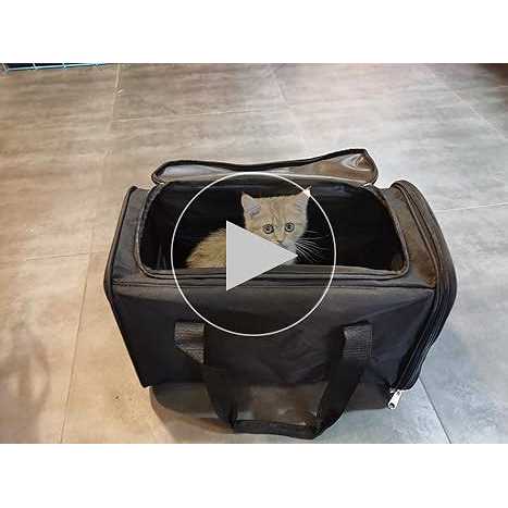 Black 2In 1 Foldable Cat Litter Box W527