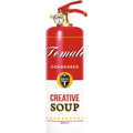 Foods Fire Extinguisher B9493