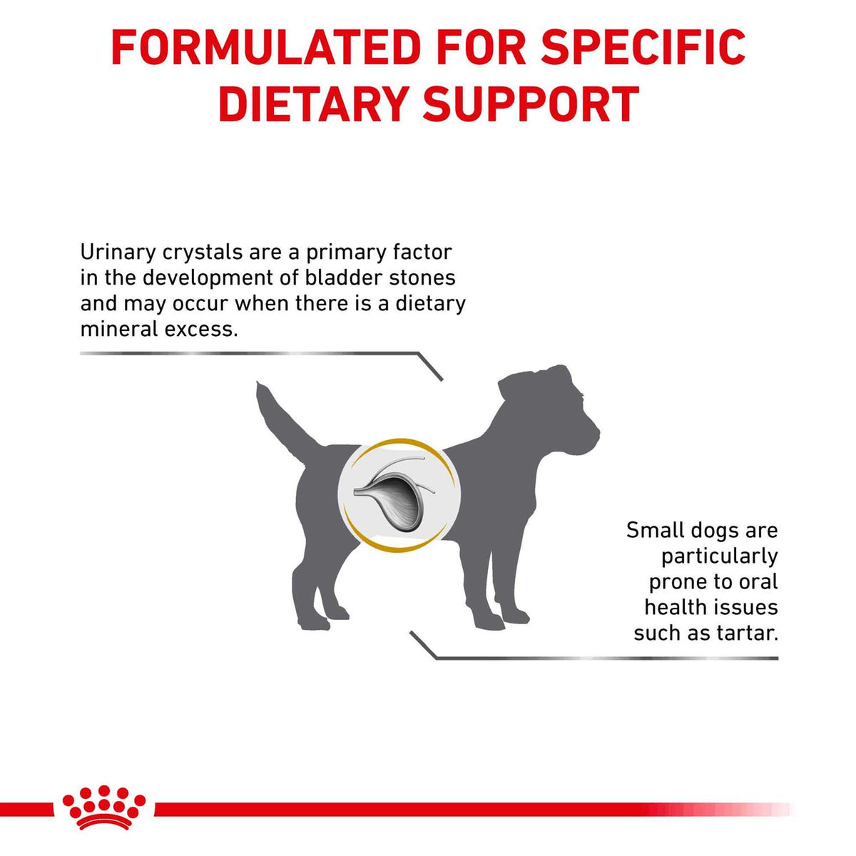 Small Dog Food F127554