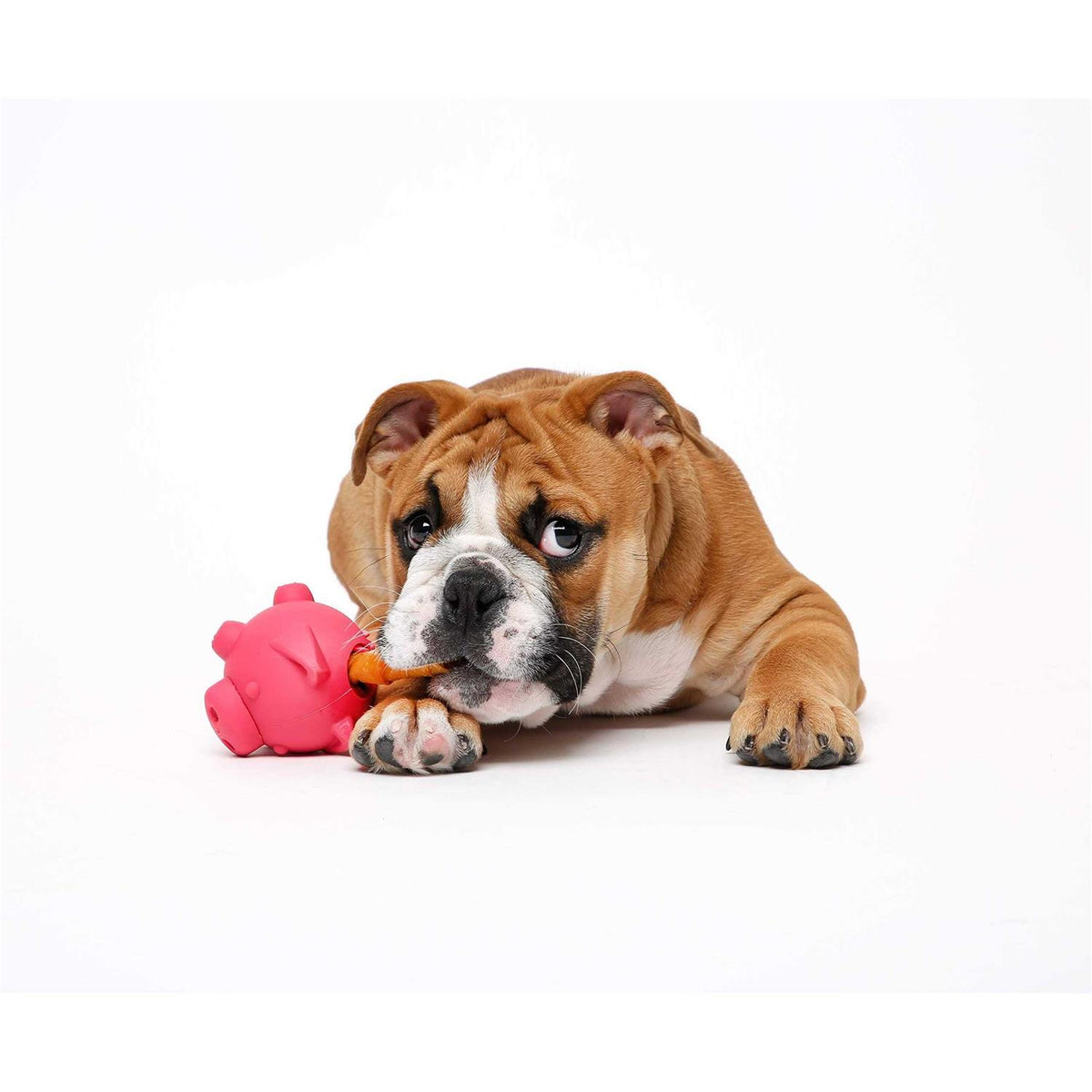 Piglet Dog Toy A820
