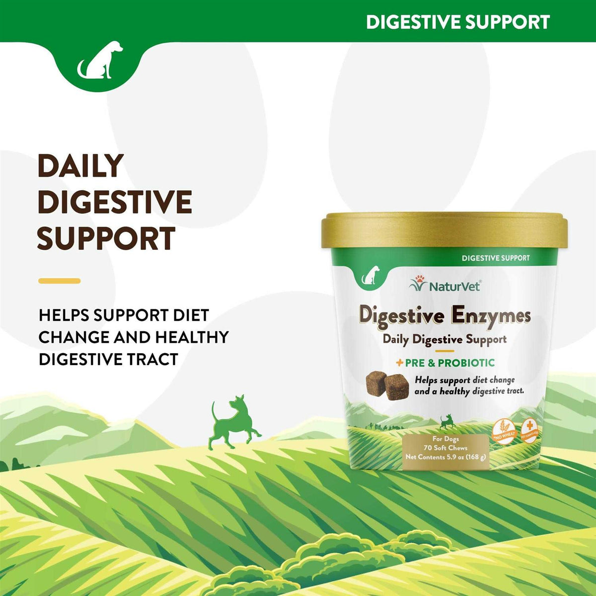 Digestive Enzymes N3843
