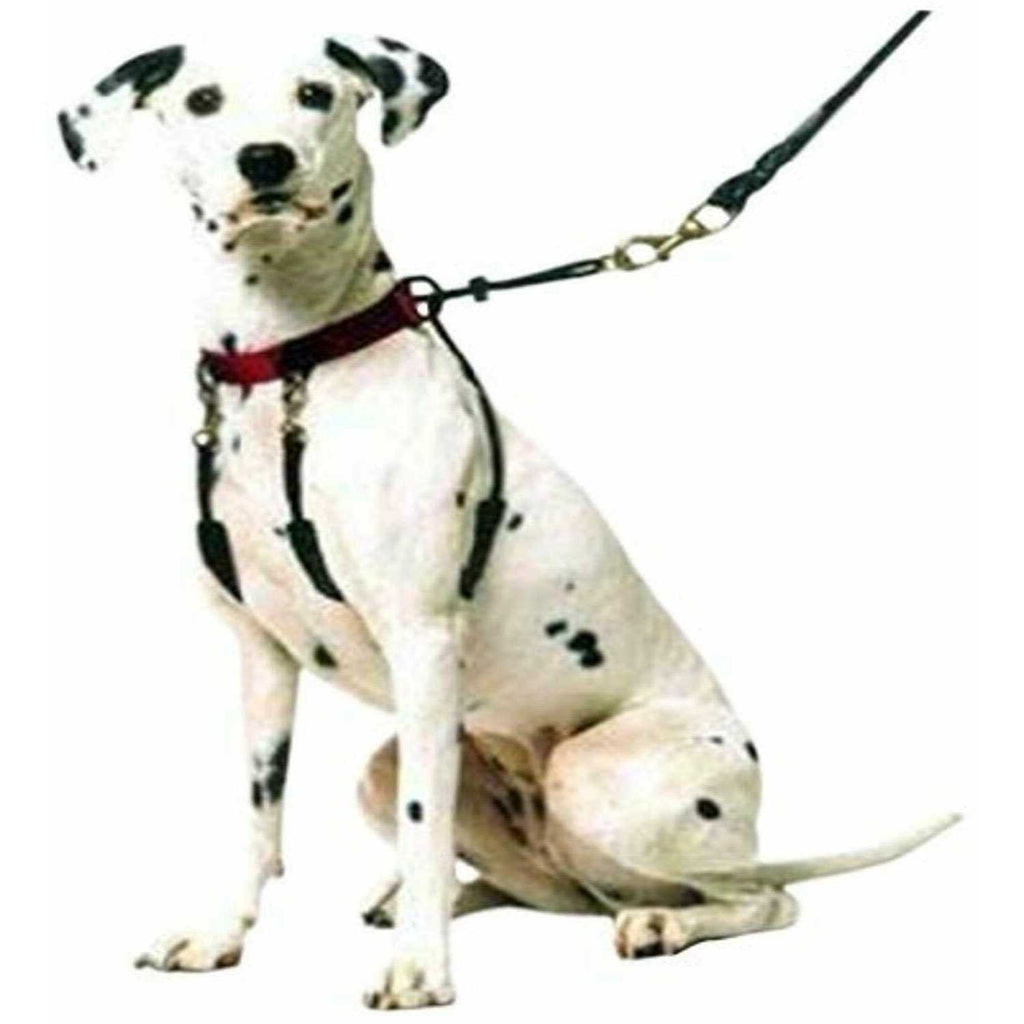 Training Halter I9144