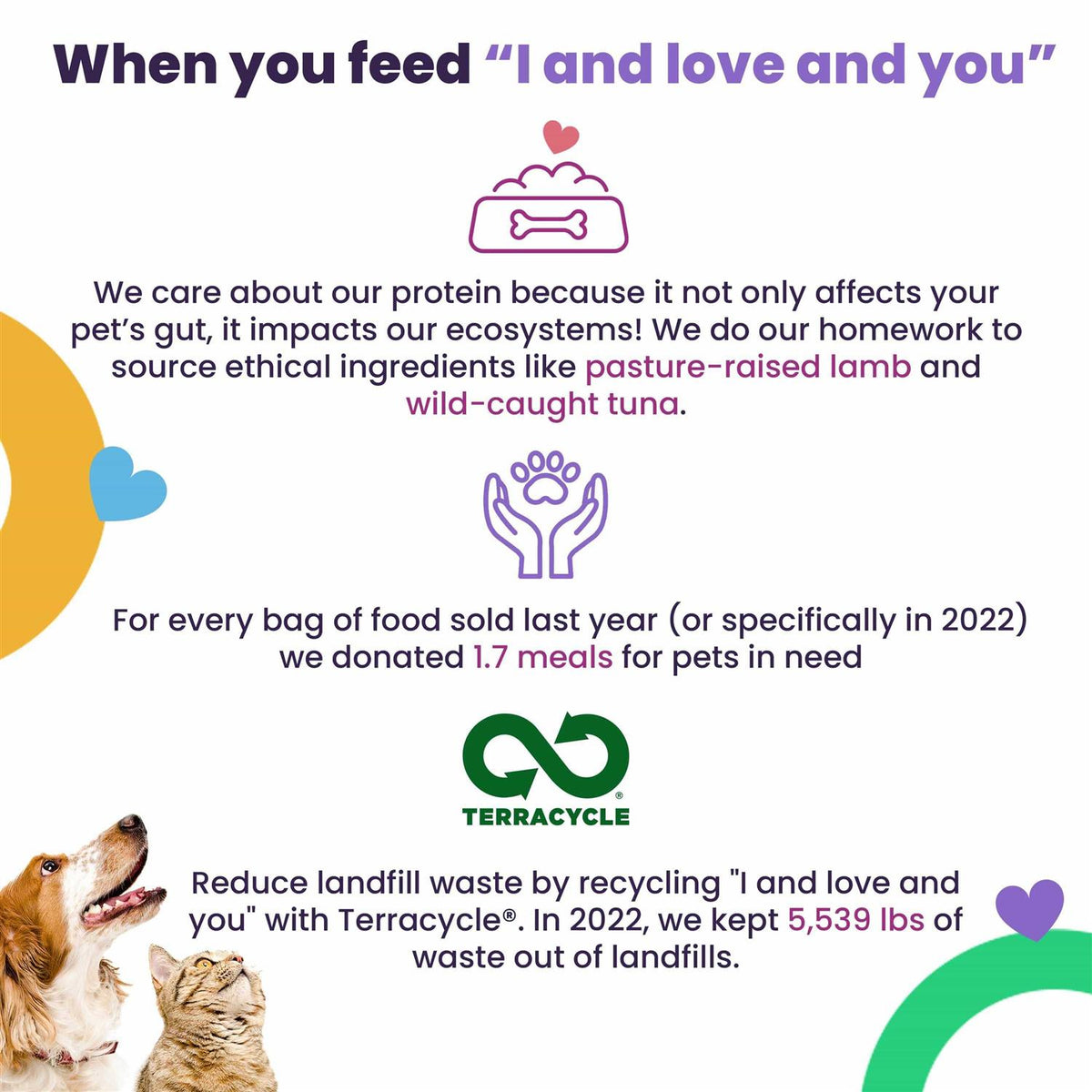 Tummy Formula Wet Cat Food with Tuna and Pumpkin I991
