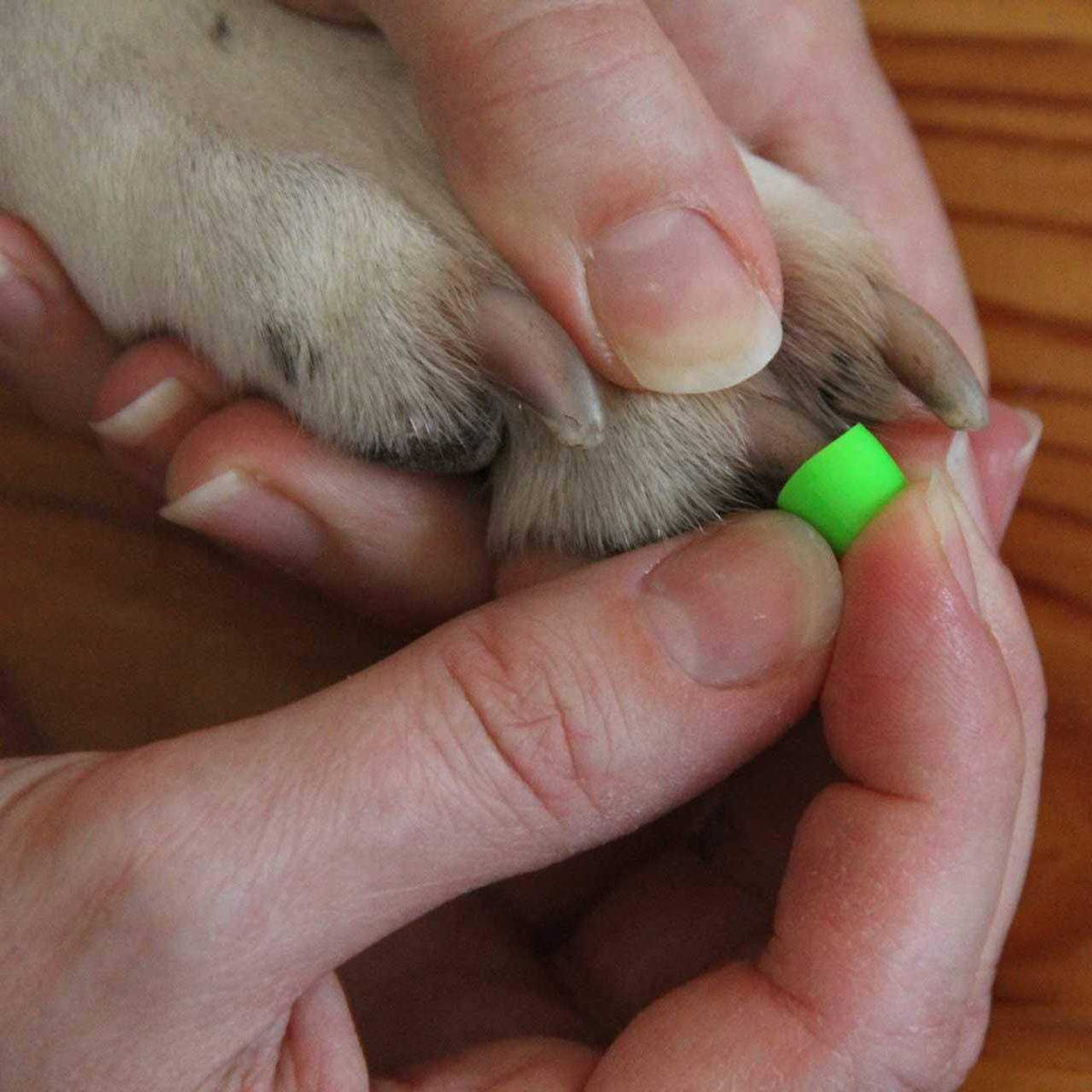Large Dog Toe Grips for Traction V26297
