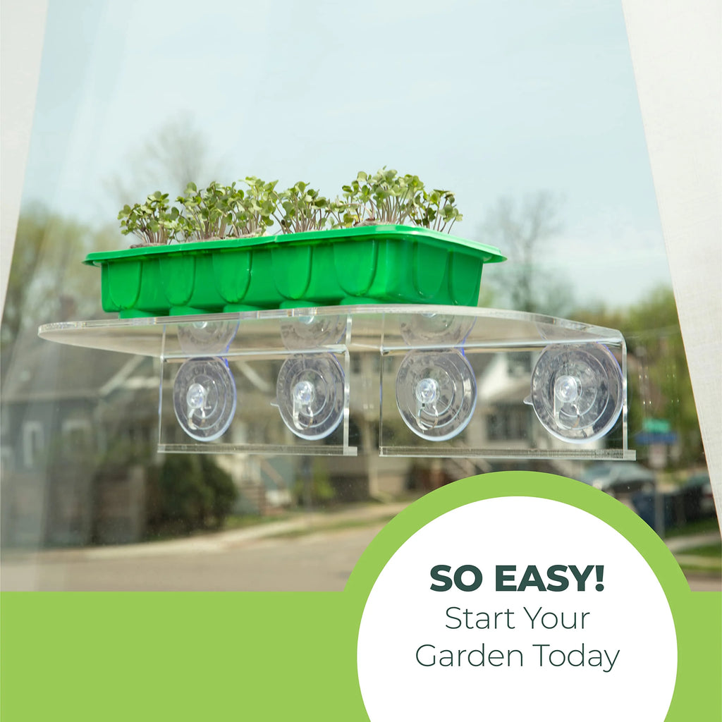 Clear Acrylic Window Shelf for Plants O47807