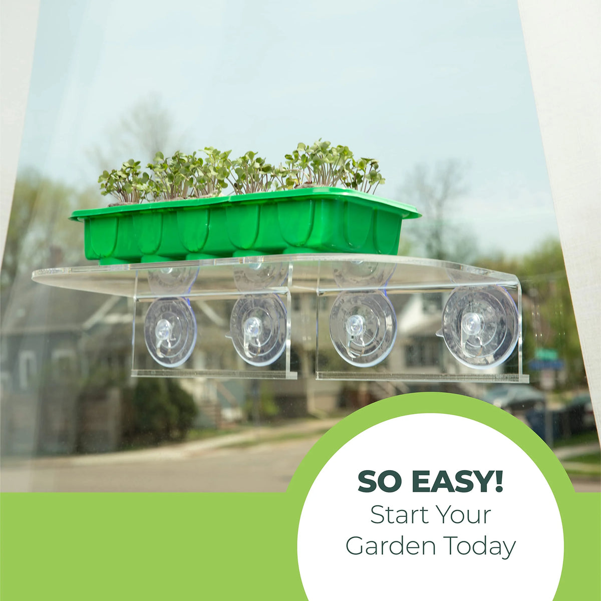Clear Acrylic Window Shelf for Plants O47807