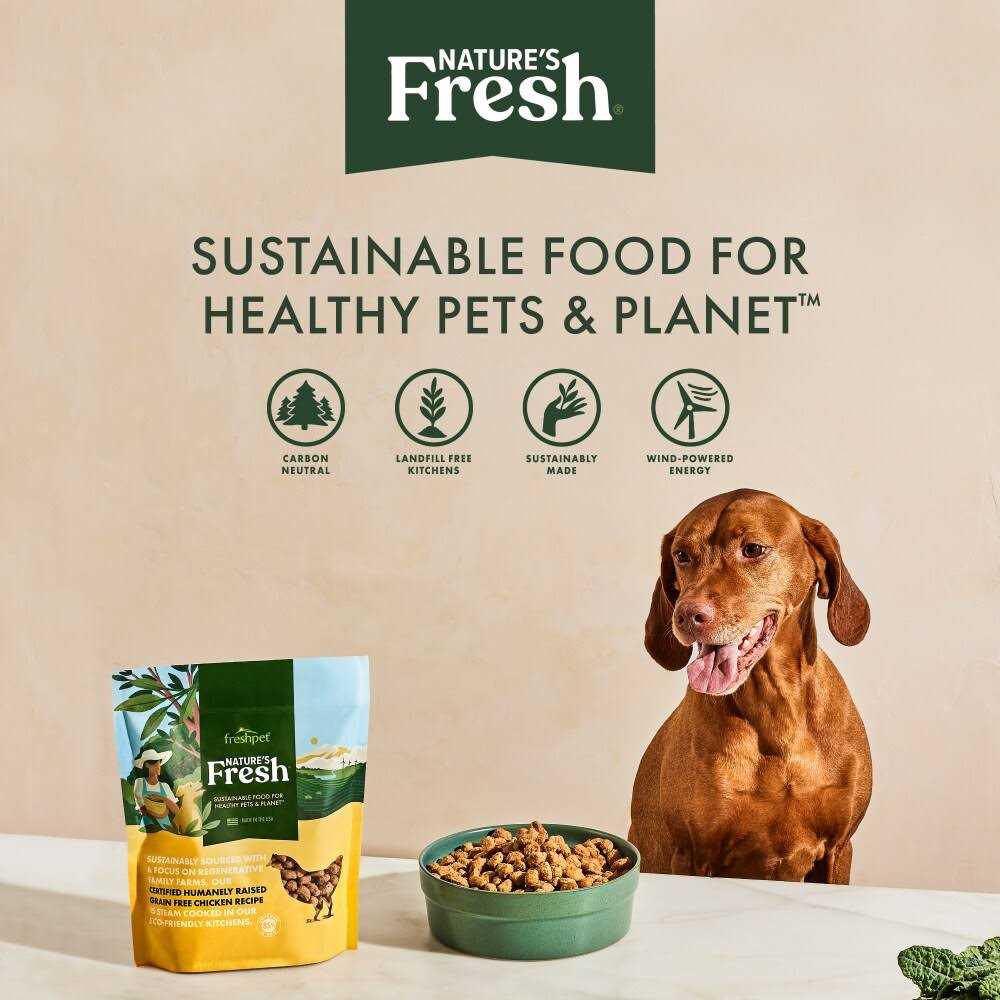 Grain Free Turkey Recipe Dog Food P19205