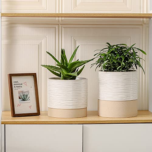 6 Inch Ceramic Self Watering Plant Pot with Drainage Hole C2335