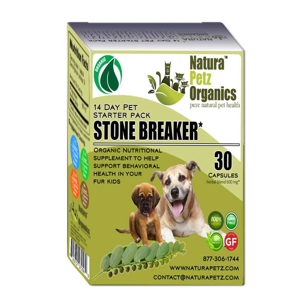Stone Breaker Starter Pack for Cats I606