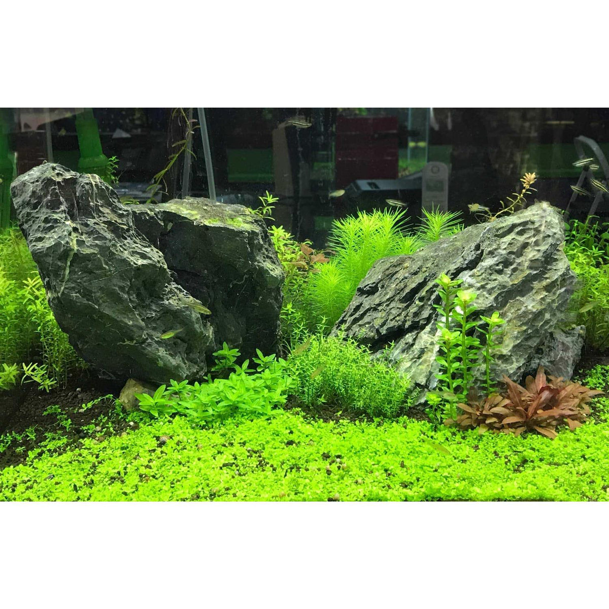 Potassium Seachem E885