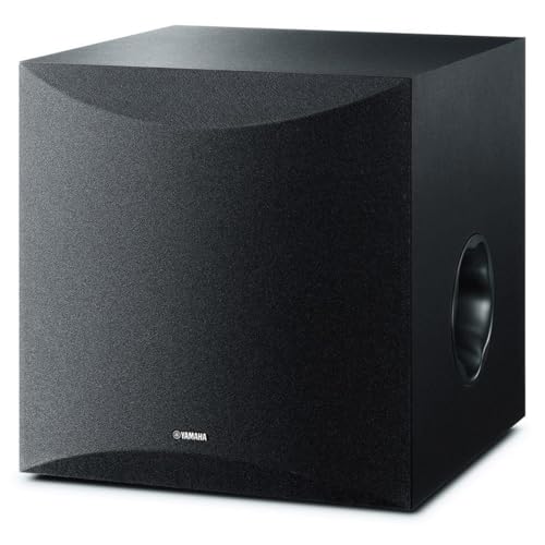 10" 100W Powered Subwoofer Black G20341