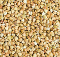 Organic Buckwheat Groats 10 LB E377602