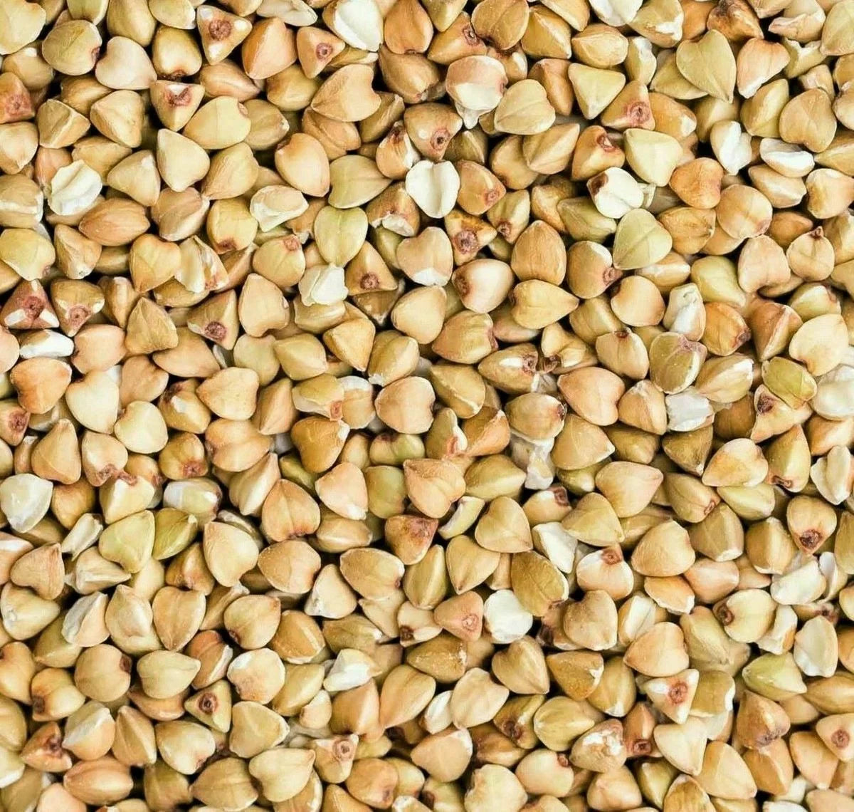 Organic Buckwheat Groats 10 LB E377602