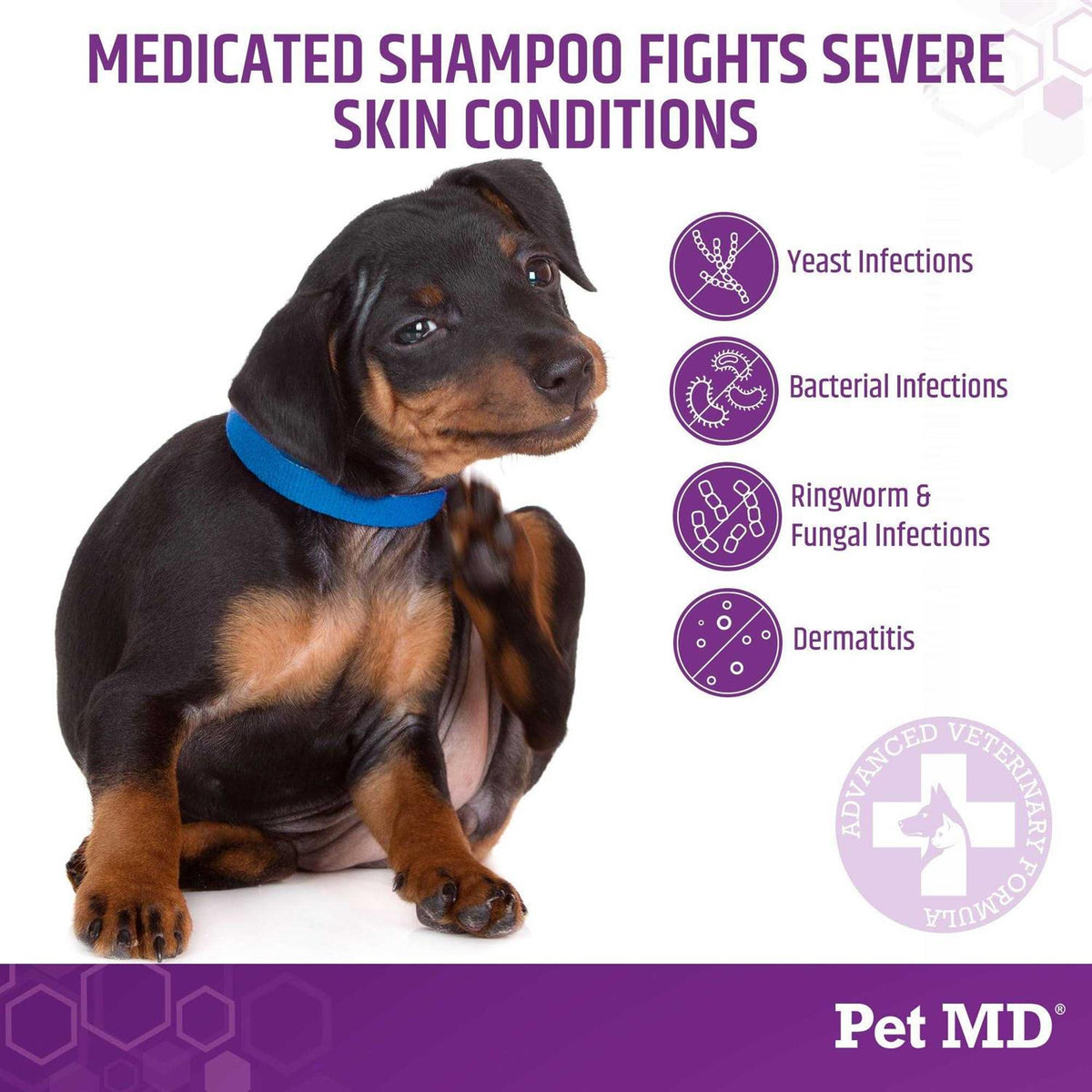 Medicated Shampoo for Dogs J13760