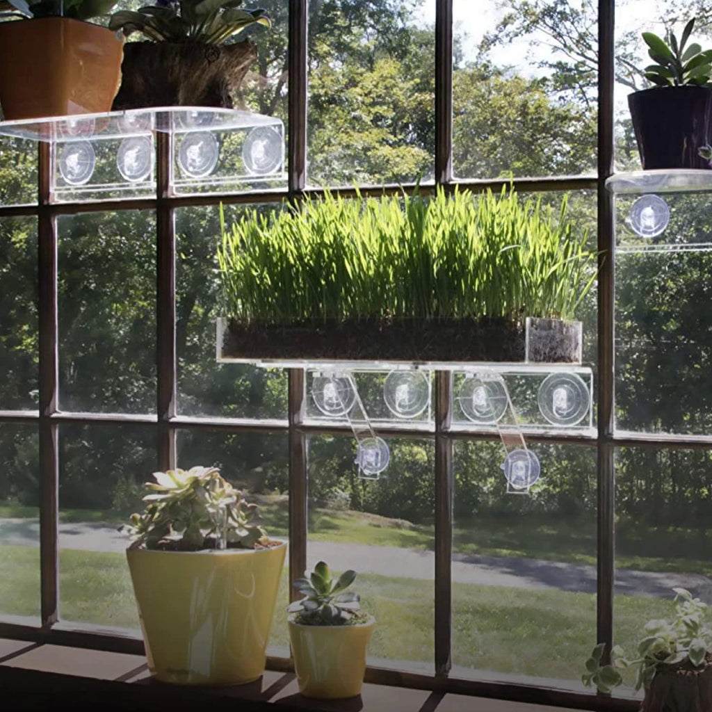 Clear Acrylic Window Shelf for Plants O47807