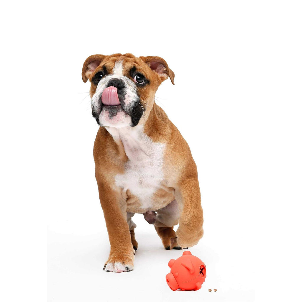 Piglet Dog Toy A820