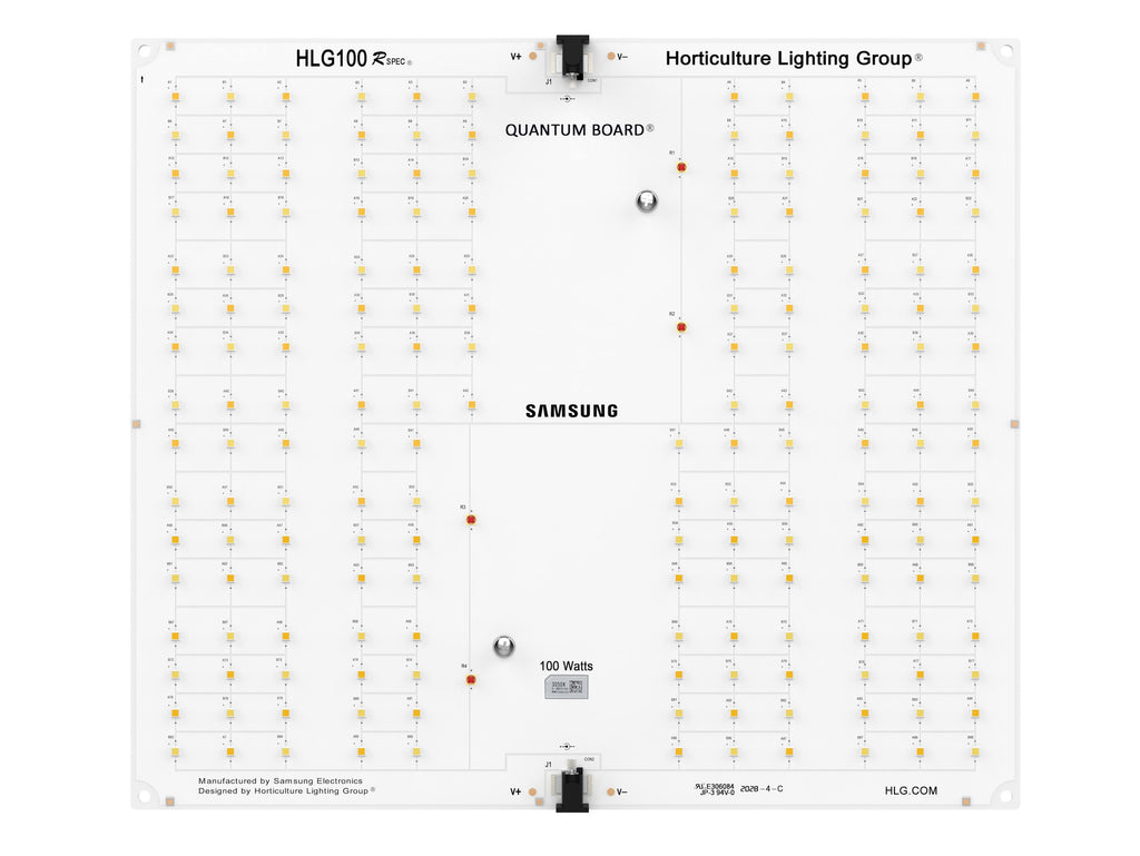 LED Fixture P23700