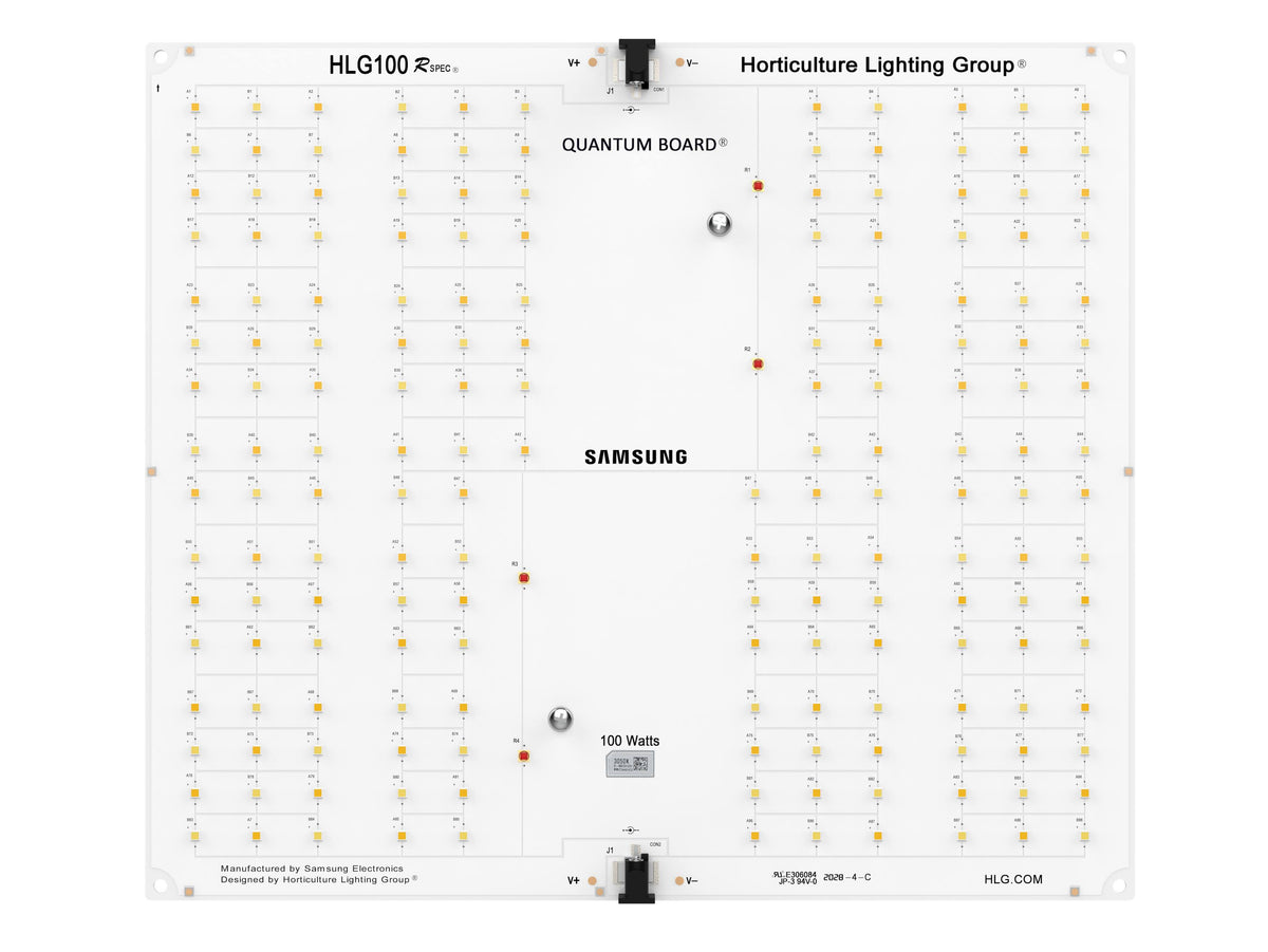 LED Fixture P23700