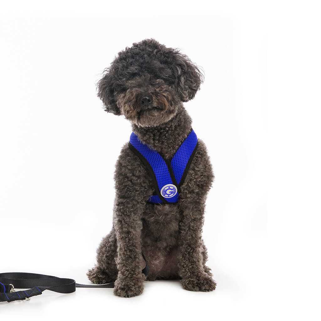 Step-In Dog Harness O9011