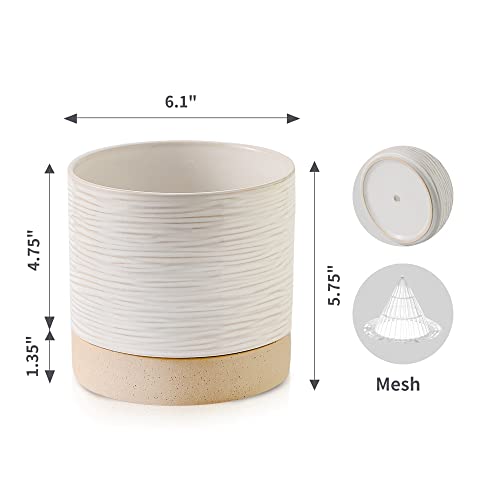 6 Inch Ceramic Self Watering Plant Pot with Drainage Hole C2335