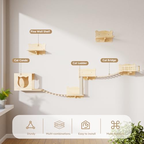 16 Pcs Pine Wooden Cat Wall Shelves with House Y3305
