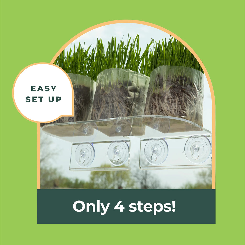 Clear Acrylic Window Shelf for Plants O47807