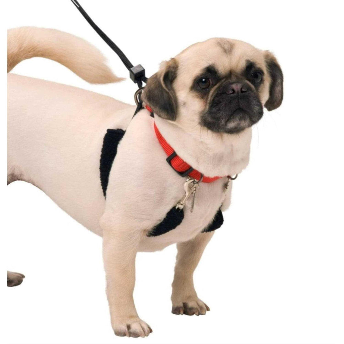 Training Halter I9144