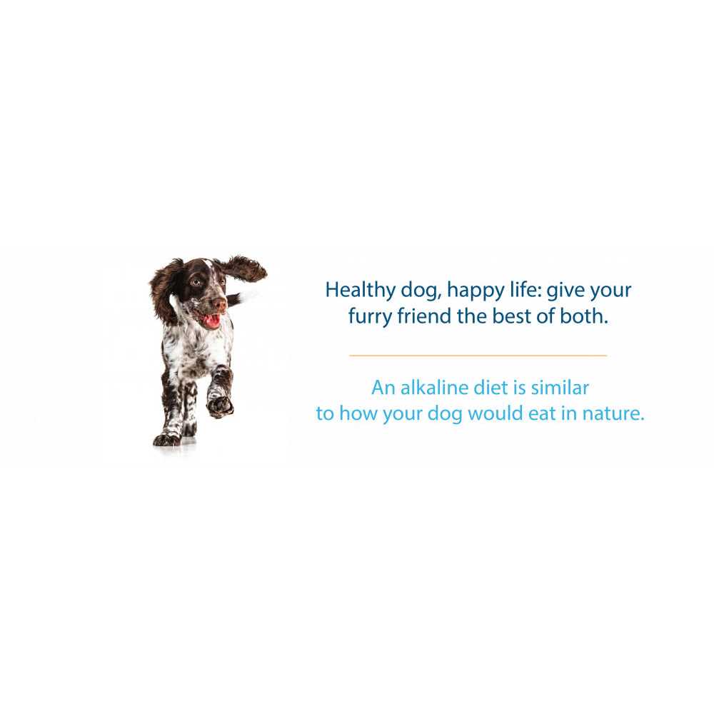 Grain Free Dry Dog Food A98420