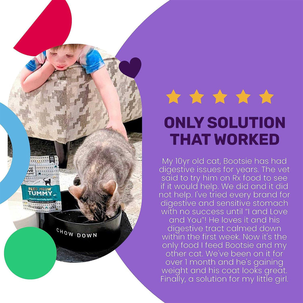 Tummy Formula Wet Cat Food with Tuna and Pumpkin I991